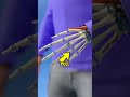 If You Crack Your Knuckles, Watch THIS!