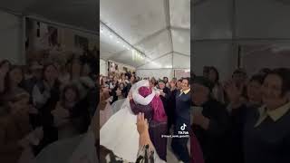 Soganlix Toylari Resimi