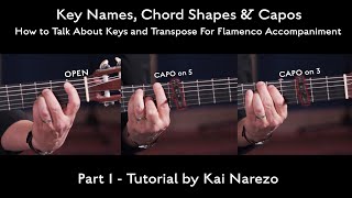 How to Talk About Keys and Transpose For Flamenco Accompaniment - Part 1- Tutorial by Kai Narezo