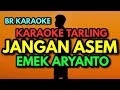 JANGAN ASEM - KARAOKE - EMEK ARYANTO |BR KARAOKE|