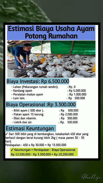 Estimasi Biaya Usaha Ayam Potong Rumahan #tipsbisnis #tipsusaha #belajarbisnis #ayampotong
