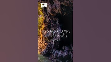 وَيَسْأَلُونَكَ عَنِ الرُّوحِ ۖ قُلِ الرُّوحُ مِنْ .. (85)  #سورة_الإسراء  #فارس_عباد