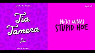 Doja Cat ft. Rico Nasty & Nicki Minaj - Tia Tamera & Stupid Hoe (Mashup)