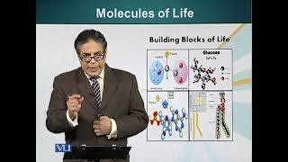 BIF101_Topic003