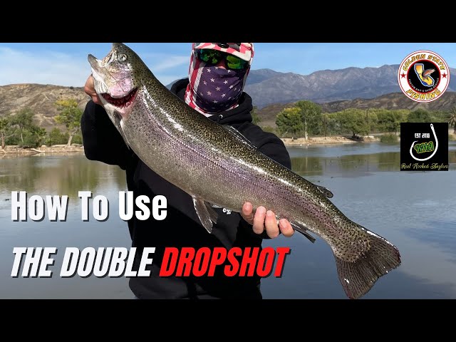 How To Use The Double Dropshot For Big Trout 