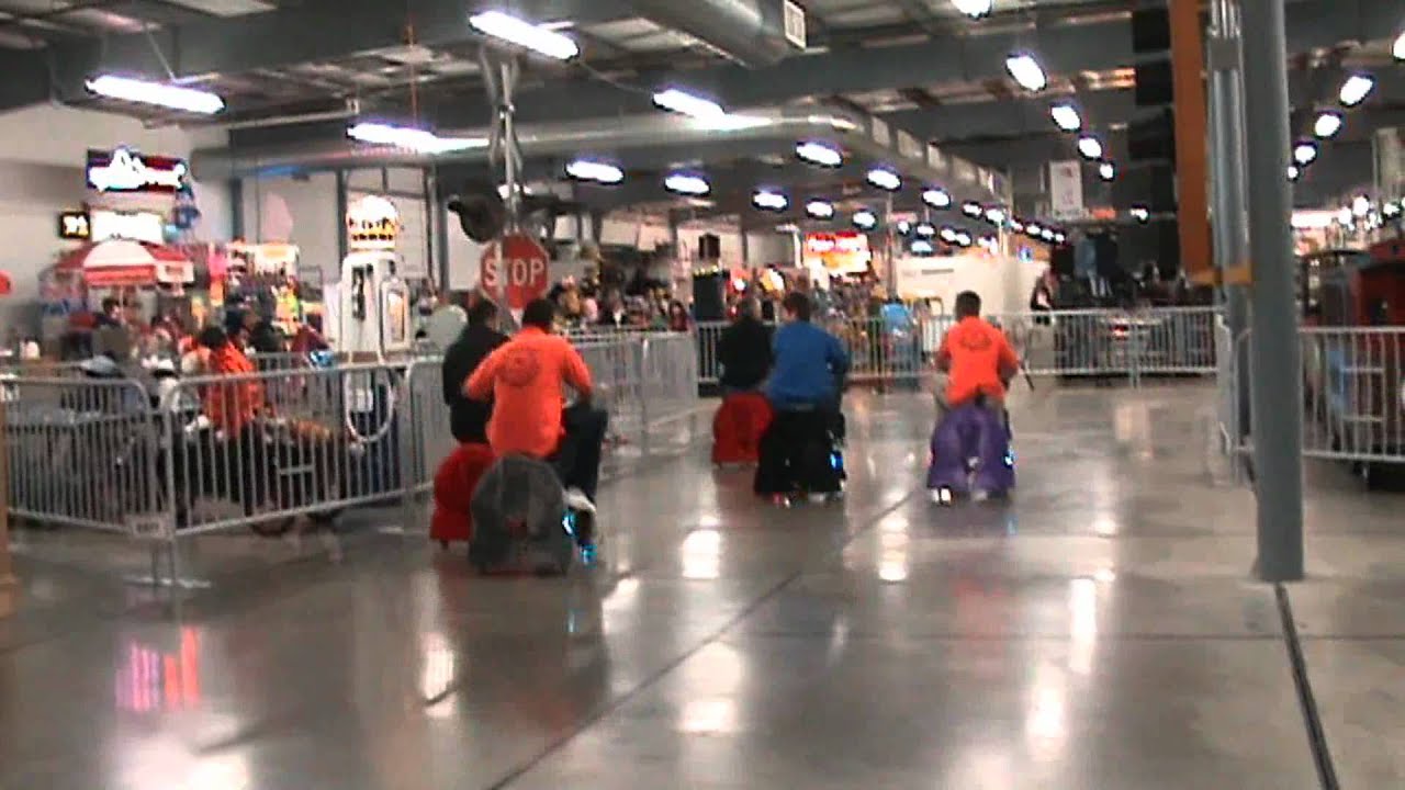 Zippy Pets at 7 Mile Fair YouTube