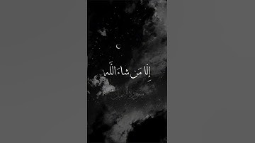 تلاوة يهتز لها القلب بصوت ياسر الدوسري #قران_كريم #قرآن #ياسر_الدوسري #تلاوة_خاشعة