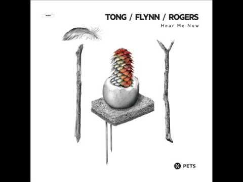 pets bd Tong, Flynn, Rogers - Hear me now (Trikk remix)