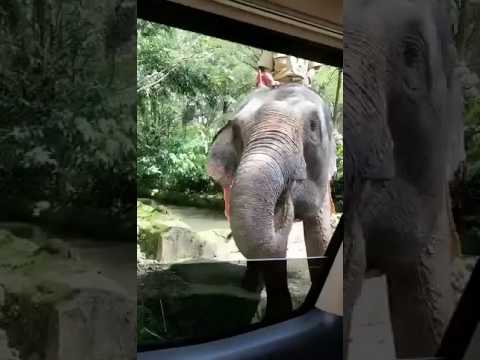 ١٩ يوليو ٢٠١٧