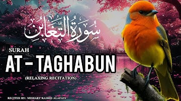 Surat At-Taghabun (Deprivation) | Mishary Rashid Alafasy  | سورة التغابن