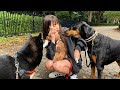 しゅうちゃんの飼ってる保護犬たちに大吉を会わせてみた