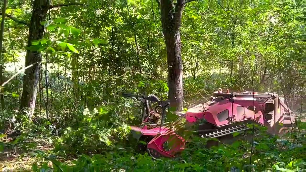 Tournage débroussaillage en sous-bois