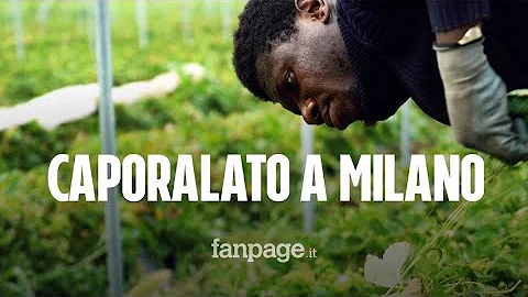 Quando si parla di caporalato?