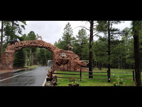 USA - Les oiseaux zoo de Bearizona