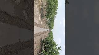 #nature #rk #ssr #krbr #dvr #brkr #kbrm #mcor #kvs #psky #pvsr #ugrateja #ugrasimha #gp #glr #gnr