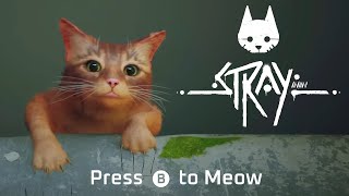 The Game Where You Play As A Stray Cat