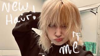 Download Lagu Ik probeer voor het eerst manische paniek uit. MP3