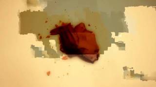 pecan animation.m4v