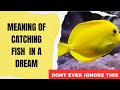 Catching fish dream meaning  dream about catching fish