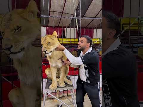 لما تعمل حجات ويقولولك اعملها