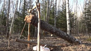 How To Make A MASSIVE Deadfall Trap. by NorthSurvival 203,853 views 8 years ago 4 minutes, 4 seconds