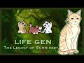 Kittens Everywhere!!🌙☀️LifeGen #14