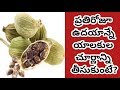 Health Benefits Of Cardamom | Health Tips In Telugu | Manandari Health