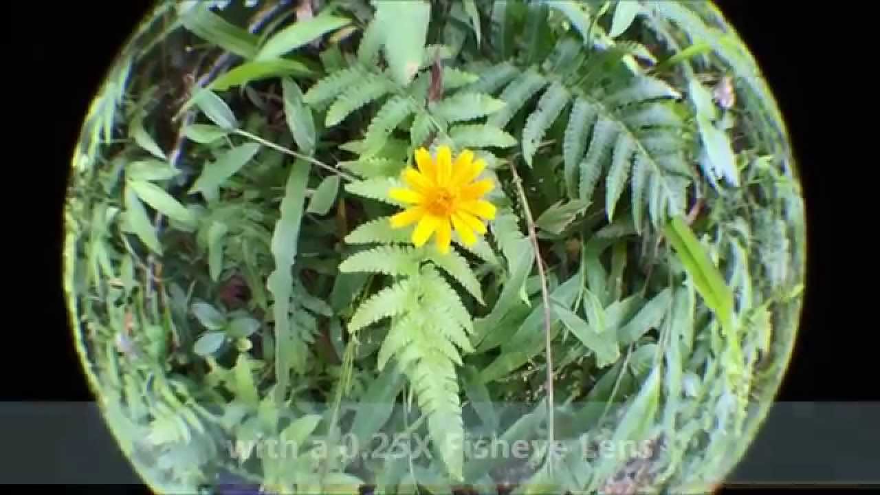 REVIEW: SLR 37mm 0.25X Super Fisheye (+ Macro) Camera Lens Set for iPhone 6