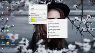 How to make website to desktop software exe.