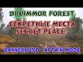 Bannerlord Секретное место/позиция secret place в капитанском режиме на карте Druimmor forest&quot;