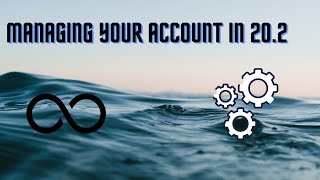 Managing your Infinite Flight Account in 20.2 screenshot 5