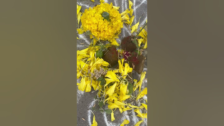 #sankranthi #2024 #bhogi #muggulu #rangoli #designs #happy #traditional #festival #love #colours