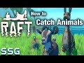 RAFT How to Catch Animals SeeShellGaming