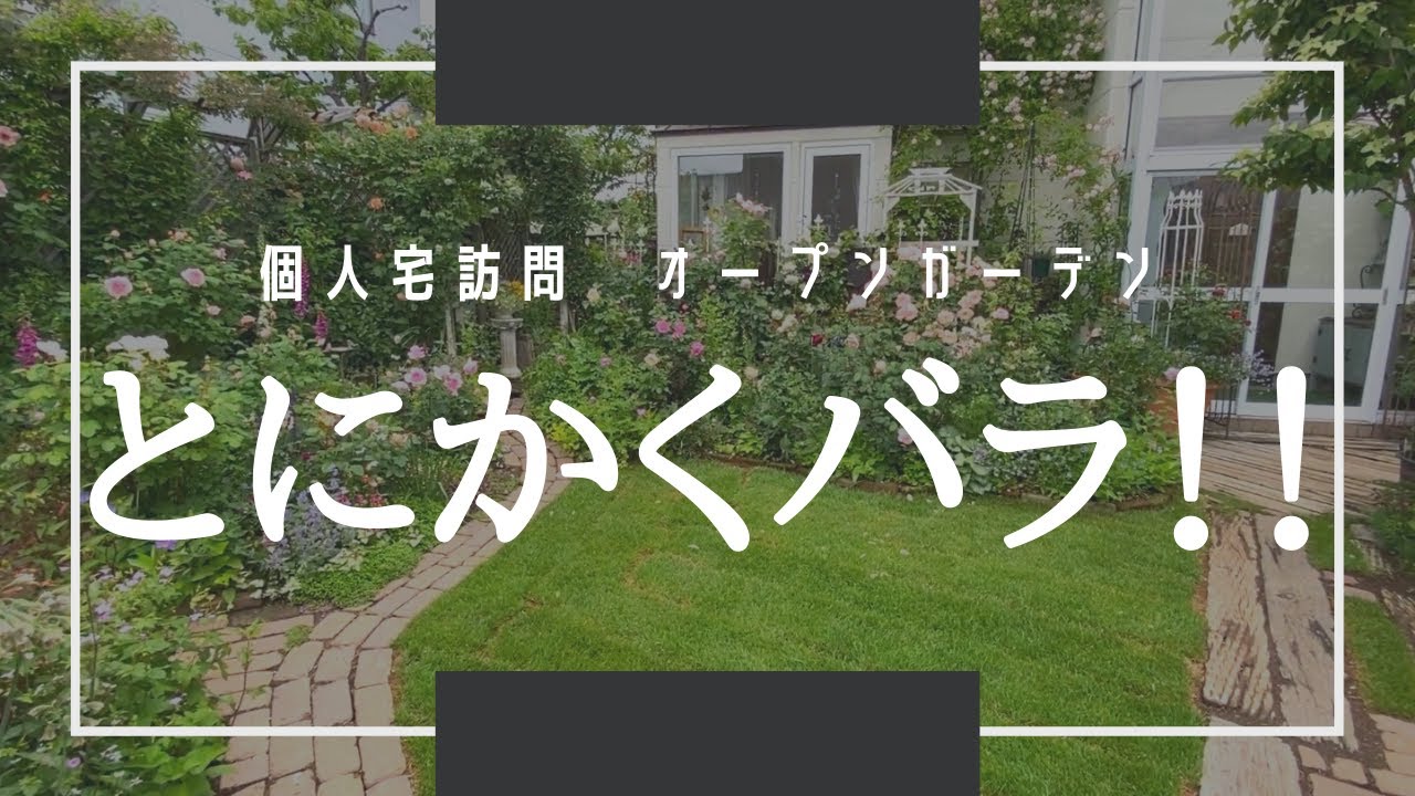 ガーデニング プロのガーデナーも驚く個人宅のバラの庭を訪問 多種多様の薔薇を美しく育てる私の師匠のバラの花々を堪能あれ Youtube