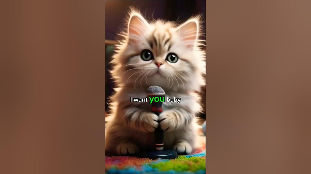 I Can’t Stop Watching This Cute Cat Sing the Purr-fect Song! #apt #cute I Can’t Stop Watching This Cute Cat Sing the Purr-fect Song! #apt #cute