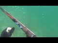 pesca sub linde como cargar fusil de aire seac sub hunter cámara gopro black 5