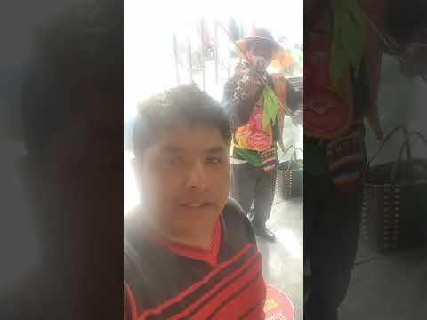 Rico Taita Shanty en la panadería