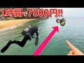 【高時給‼︎】砂浜から100m先の岩場は宝の山でした・・・