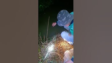 Cắm câu cá trê dính đã thiệt #fishing #shorts