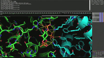 4. PyMOL Introduction   PyMOL Tools