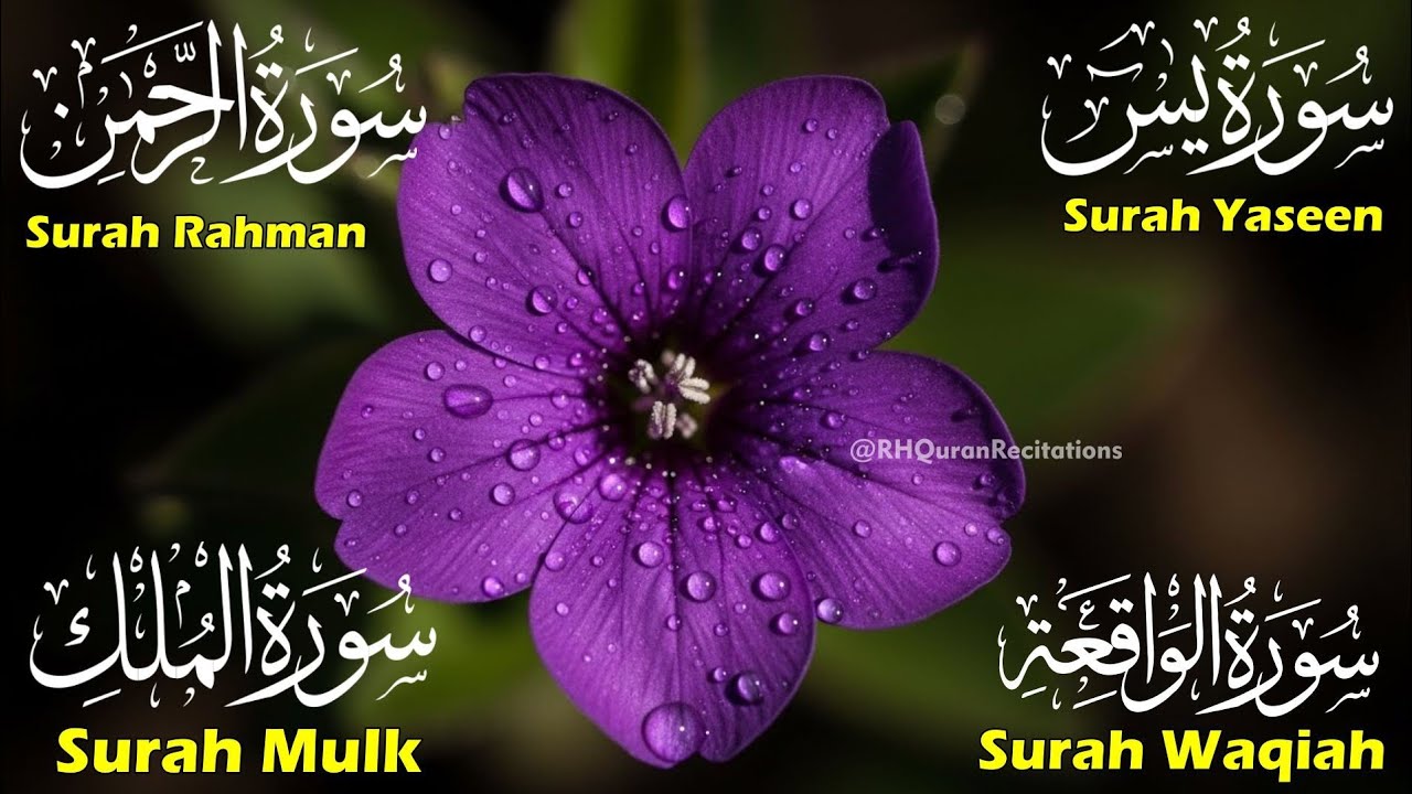January 16 2026Beautiful Surah Yaseen (Yasin) |Surah Rahman | Surah Waqiah | Surah Mulk | Episode 55