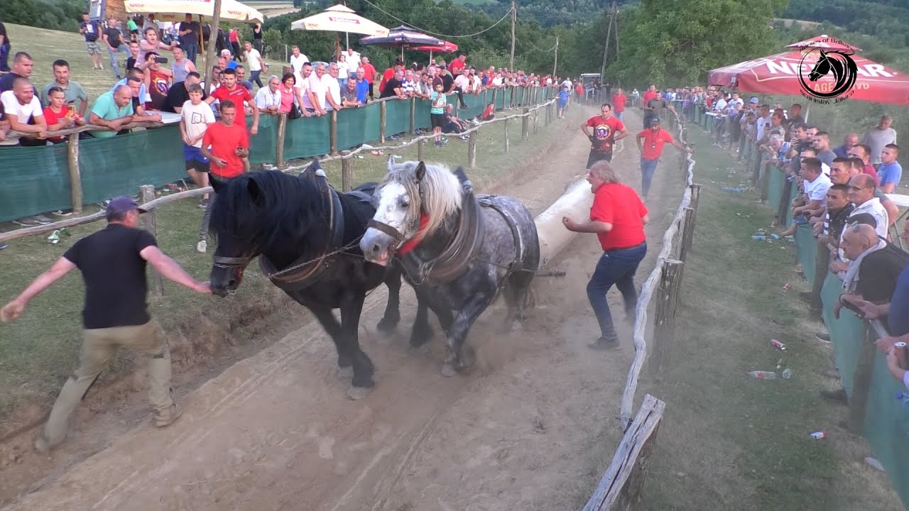 - ZIS SA MOROM I SULTANOM PRVAK TEŠKE U SLATINI -