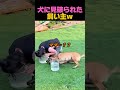 ズルしようとして終了ｗ