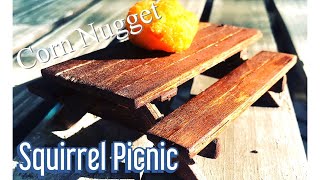 Making a Picnic Table for Squirrels  goofy DIY vlog 2020