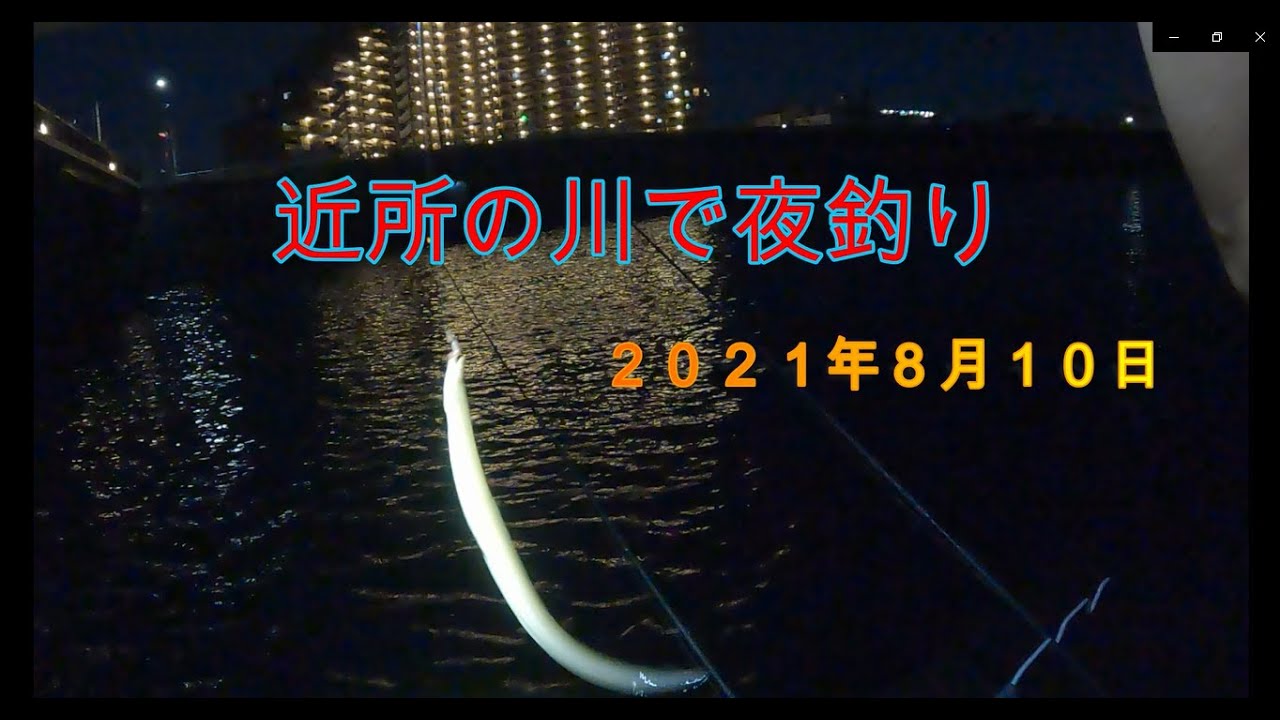 近所の川で夜釣り Youtube