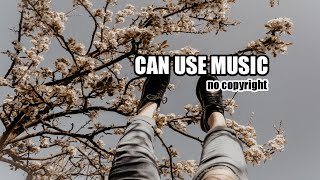 Markvard - Spring | free download music mp3 songs no copyright