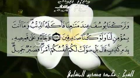 الشيخ محمد صديق المنشاوى/سورة يوسف/الجزء الثانى