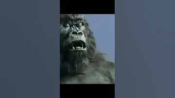 I can feel this gorilla in the air tonight