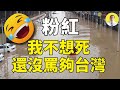 【CC字幕】一位大陸人講述真實的台灣（2021年8月5日）