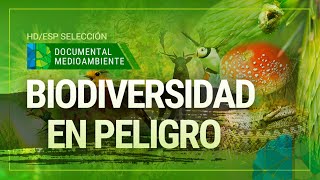 Documental BIODIVERSIDAD EN PELIGRO • Documental Naturaleza HD 1080p • Documental Español Completo Documental BIODIVERSIDAD EN PELIGRO • Documental Naturaleza HD 1080p • Documental Español Completo